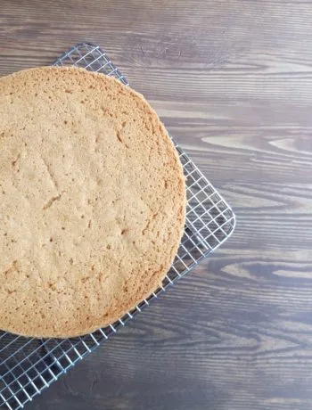 classic sponge cake
